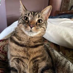 Meet your Posher, Anna